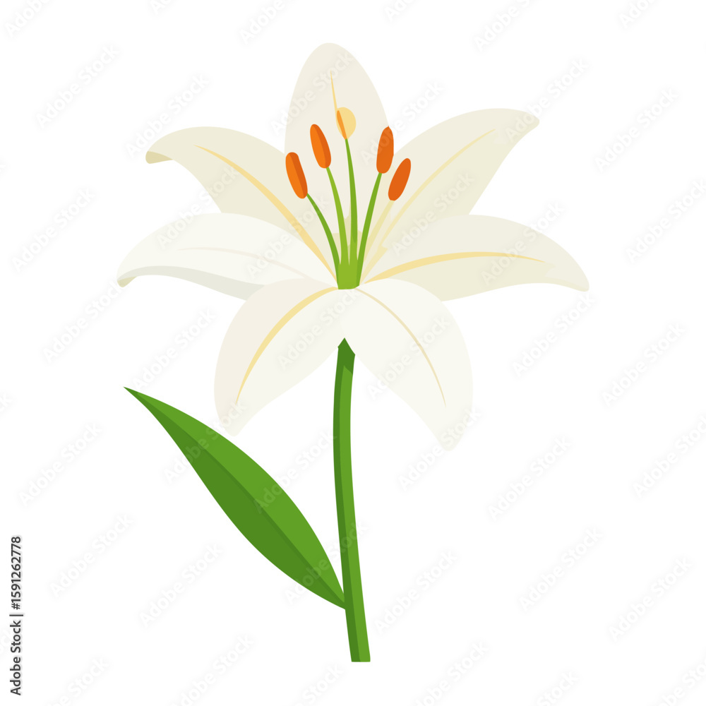 Naklejka premium Elegant white lily flower illustration with delicate petals, orange anthers, and a single green leaf on its stem.