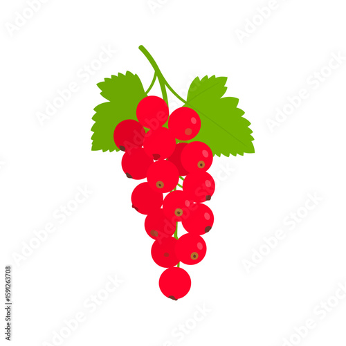 Vibrant redcurrant cluster with green leaves, a flat vector illustration of ripe berries on a sprig.