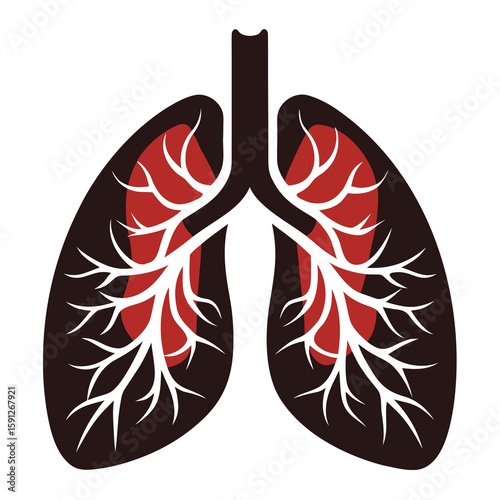 Simplified anatomical illustration of human lungs with stylized design and color scheme on white background