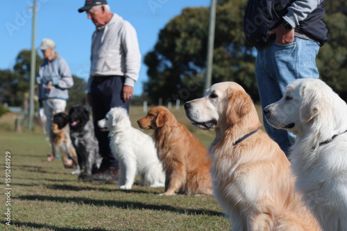 dedicated dog trainer is showing effective training methods to group of eager dog owners