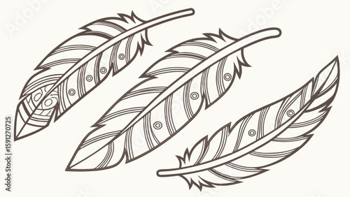 Feather outline drawing vector illustration set for native american design and boho style clip art elements