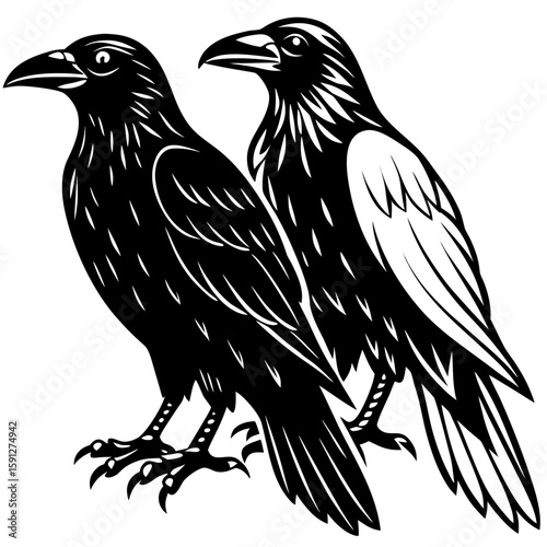 Two majestic ravens standing together in a striking silhouette