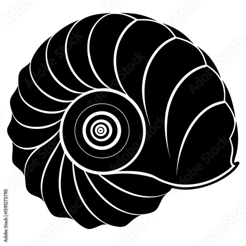 Abstract nautilus shell spiral pattern in black and white silhouette