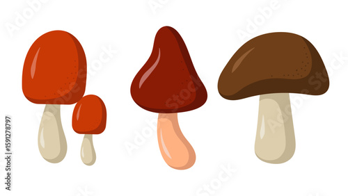  Set of cute forest mushrooms in a flat cartoon style. Colorful autumn mushrooms with red and brown caps, isolated on white background.