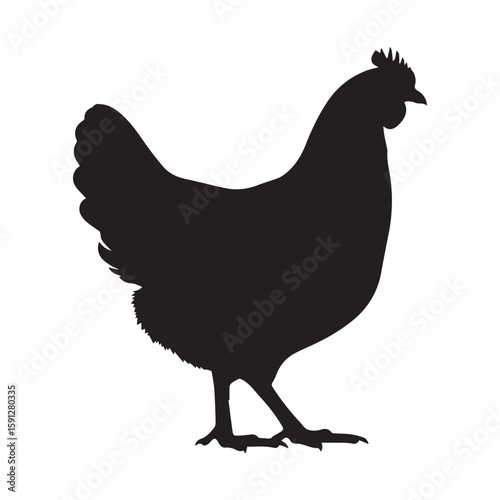 Golden Comet Hen Silhouette Vector