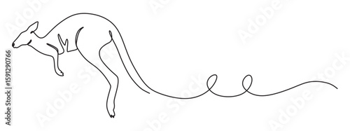 continuous line art of a kangaroo from the australian forest