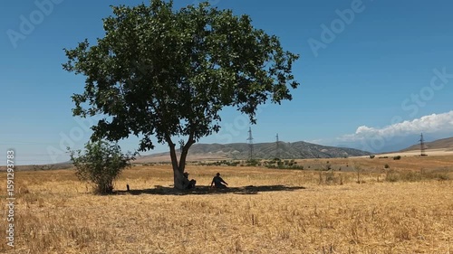 People resting under a tree in a vast dry field on a sunny day