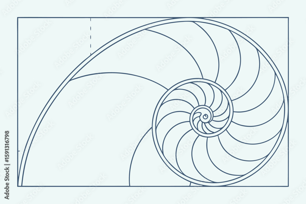 Obraz premium Nautilus shell spiral diagram with golden ratio lines