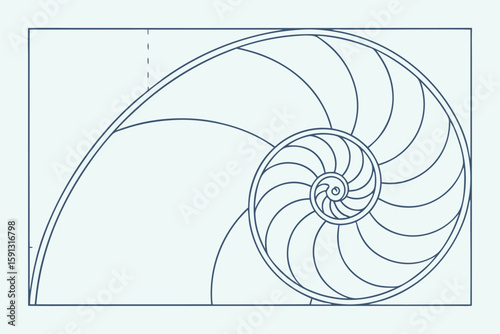 Nautilus shell spiral diagram with golden ratio lines
