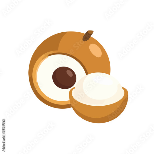 Cartoon longan fruit illustration, one halved showing the seed and one peeled in its shell.