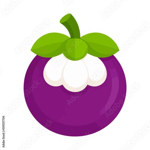 Vibrant purple mangosteen illustration, open to reveal its white fleshy pulp and green calyx.