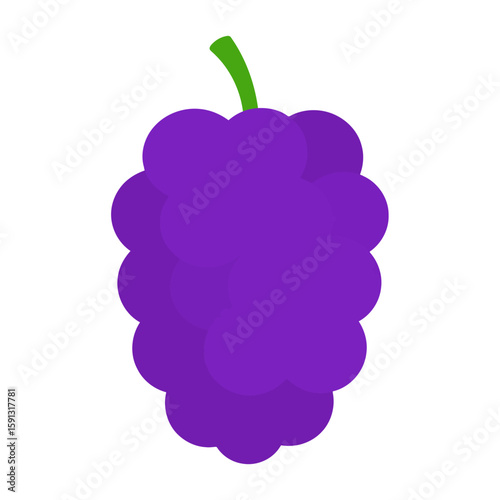 Stylized bunch of purple grapes with overlapping circular berries and a curved green stem.