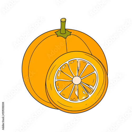 Stylized cartoon illustration of a whole orange with a green stem and a juicy cross-section slice showing its segments.