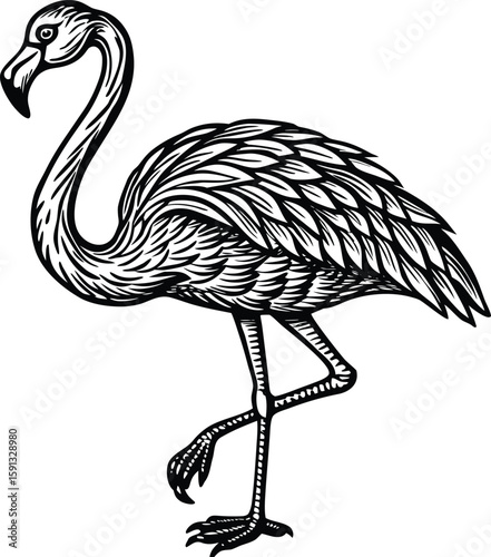 Elegant flamingo standing on one leg with detailed feather patterns bird animal