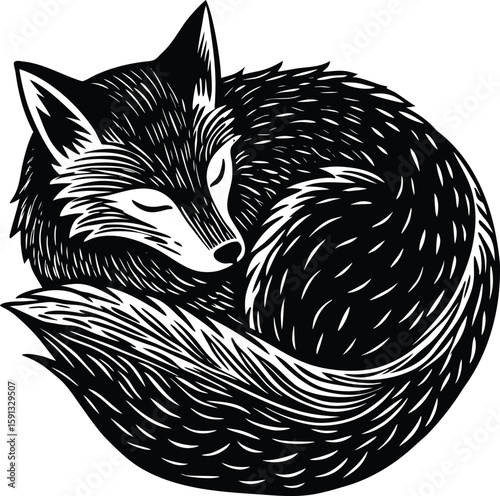 Sleeping fox curled up in a circle animal