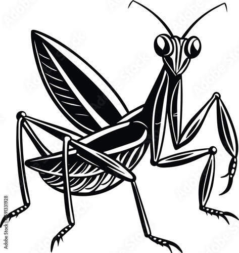 Black praying mantis insect detailed illustration white