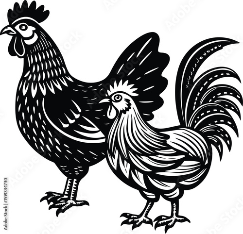 Black rooster and hen with detailed feathers chicken fowl