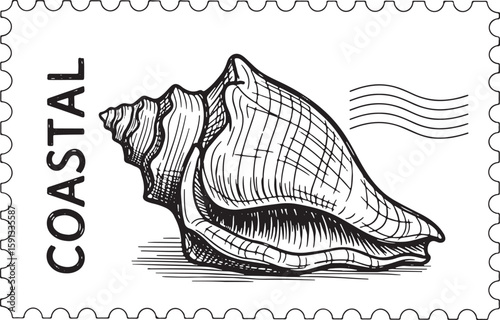 Black and white illustration of a conch shell on a postage stamp with the word coastal, conch shell, seashell, marine life, ocean, sea, beach, coastal, stamp, postage, illustration, drawing, sketch, b