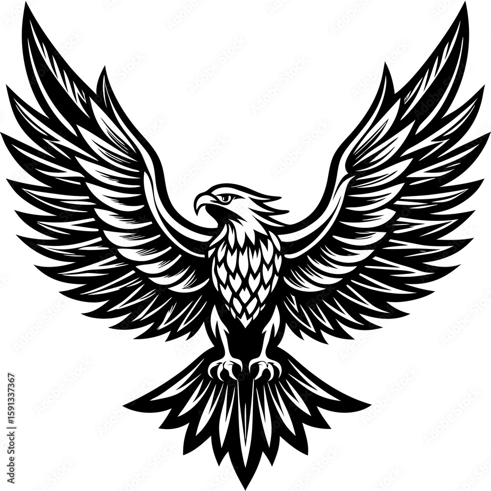 Obraz premium eagle with wings