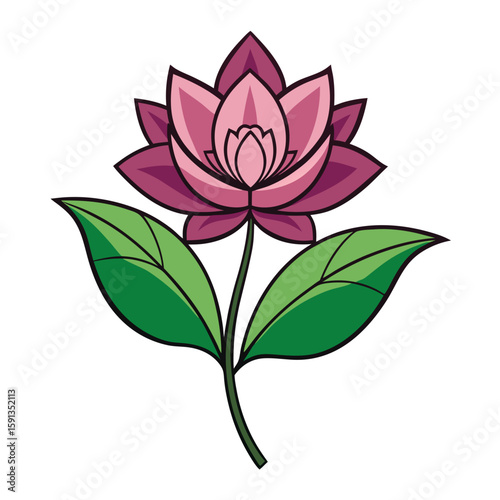 Beautiful white lotus or water lily flower with yellow pollen blooming isolated on white background included clipping path.
