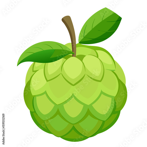 Sugar apple or custard apple with slice and green leaf isolated on white background, exotic tropical Thai annona or cherimoya fruit, healthy food