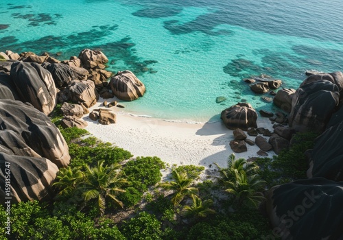 virginia summer beach plam trees tropical sea and ocean paradaise sunshine for vacations relaxation palm tree