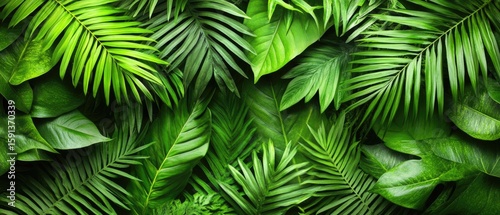 Lush green tropical foliage