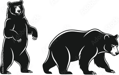 Bold Black Bears Illustration Wildlife, Strength, and Nature's Majestic Creatures