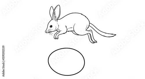 Agile Bilby and Oval: An artist's rendering depicts a nimble bilby poised mid-leap, with an egg nestled beneath, exuding an image of life and wildlife.