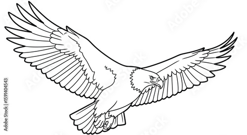 Majestic Flight: A line art illustration of an eagle soaring through the sky, its wings spread wide, showcasing the power and grace of this iconic bird. 