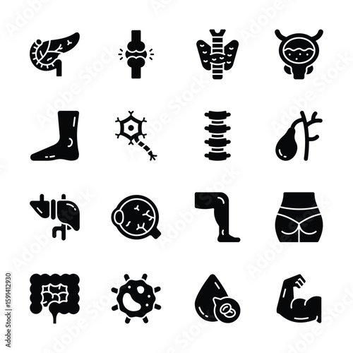 Get this modern pack of biology and human anatomy glyph icons