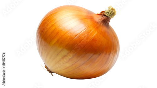 Wallpaper Mural onion isolated on white Torontodigital.ca