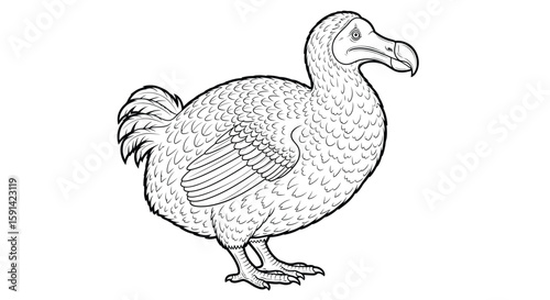 Intricate Realistic Dodo Bird Extinct Species Detailed Coloring Page for Adult Art Activity