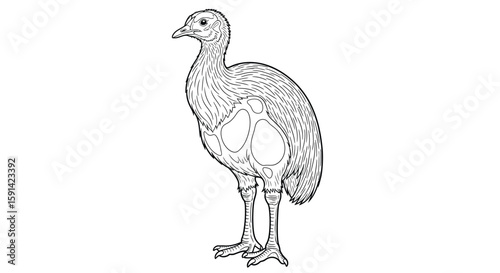 Detailed Realistic Moa Bird Extinct Giant Feathered Creature Coloring Page for Adults