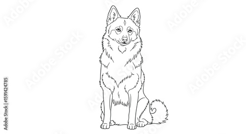 Adorable Sitting Indian Spitz Dog Detailed Artwork Coloring Page for Adult Canine Fans