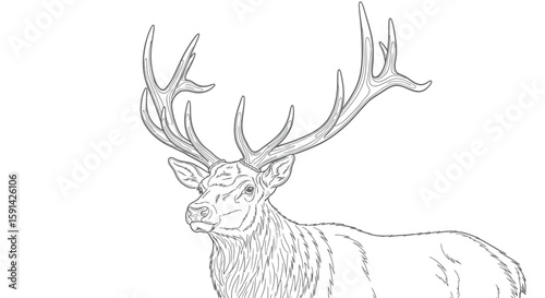 Magnificent Strong Irish Elk with Giant Antlers Prehistoric Coloring Page for Adults