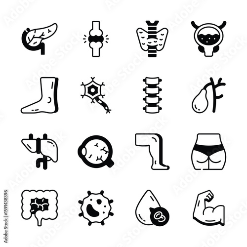 Get this modern pack of biology and human anatomy glyph icons