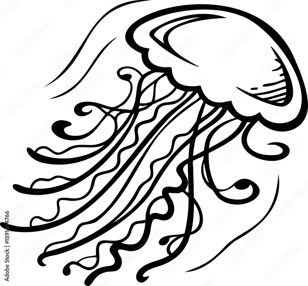 Jellyfish line art drawing with flowing tentacles and curved bell shape in black and white style, elegant marine creature illustration