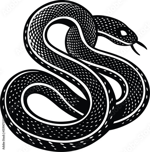 An Artistic Rendering of a Coiled Serpent with Intricate Scale Patterns and a Threatening Stance Captured in Black and White Symbolizing Danger and Mysticism