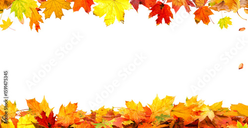 frame of colorful autumn leaves isolated on transparent background