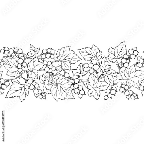 Black Currant Branch with Berries and Leaves Outline Horizontal Seamless Pattern. Organic natural nutritional healthy food ingredient, vegetarian diet product. Vector isolated for design or decoration