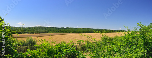 Panoramic photograph of a mown grain field in Northern France with greenery in the foreground and background and a blue sky.