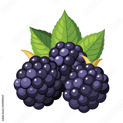 Sweet handful of fresh blackberries, dark and juicy, on a clean white background.
