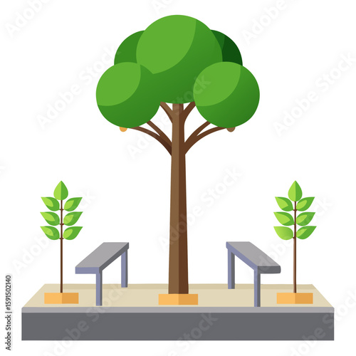 Decorative trees and benches in urban park setting  