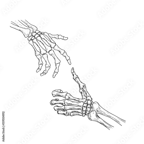 Dead man's hands with bony fingers, black and white sketch. Vector illustration. Classic Halloween decor, skeleton hands isolated on white background. for tattoos, prints, stickers, greeting card