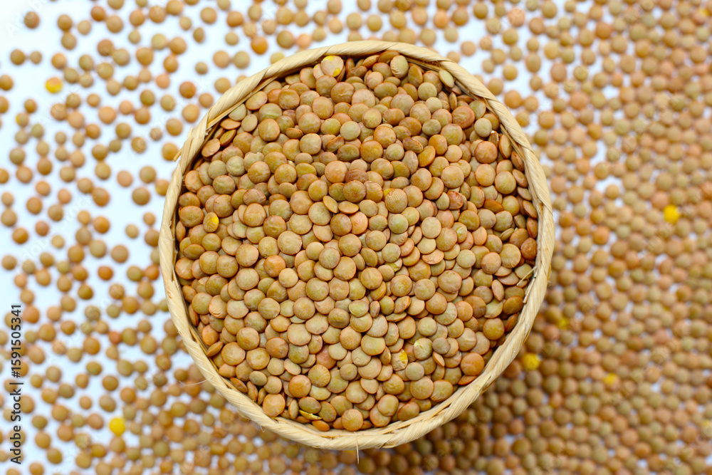 Fototapeta premium Lentils are small brown legumes rich in protein and fiber
