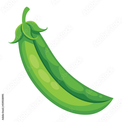 A single fresh green bean, a healthy vegetable and common cooking ingredient, on a clean white background.