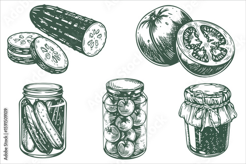 Hand drawn set of pickled vegetables and glass jars in vintage engraving style