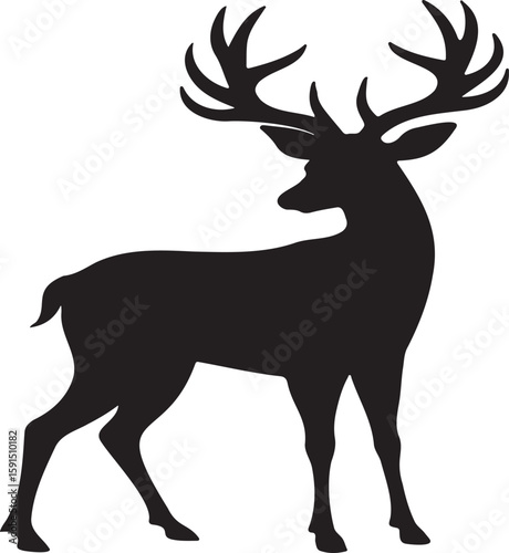 Deer silhouette on white background