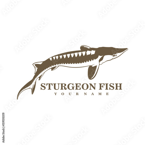 Sturgeon Fish logo design vector. Silhouette Sturgeon Fish Template Illustration.